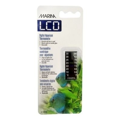 Termómetro LCD