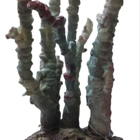 Coral de Resina