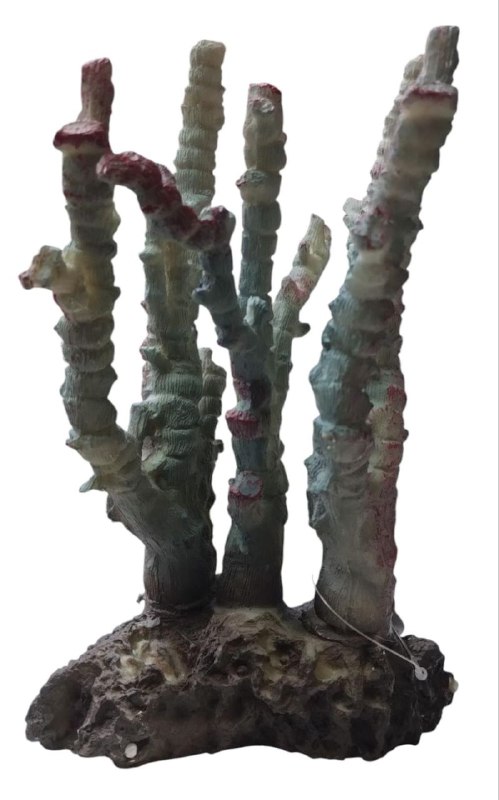 Coral de Resina
