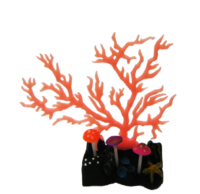 Coral Fluorescente y Hongos