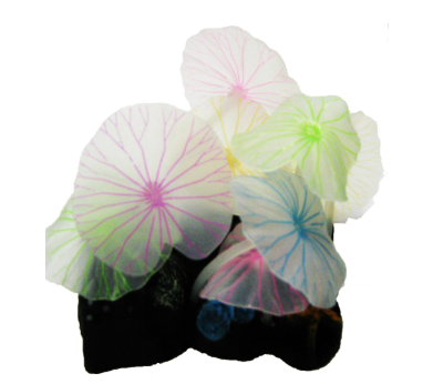 Hojas de Loto Flúor Multicolor