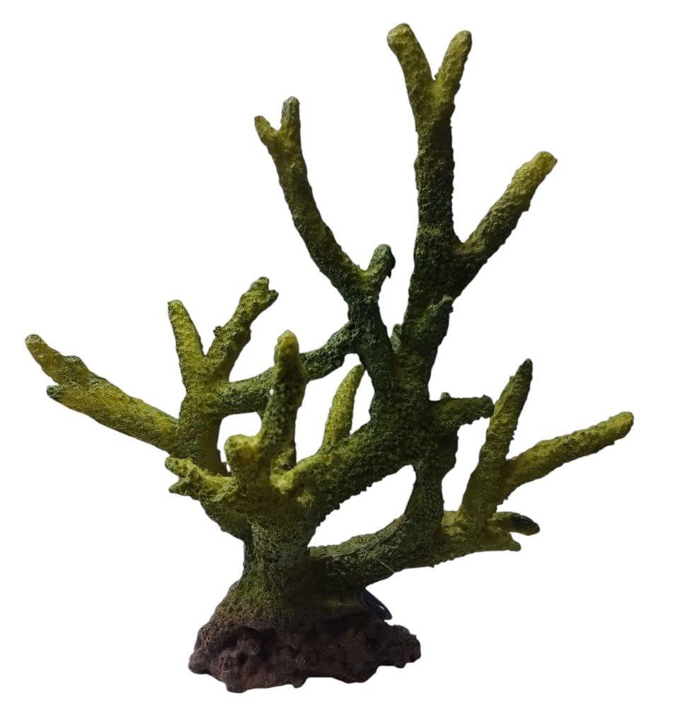 Coral Rugoso de Resina