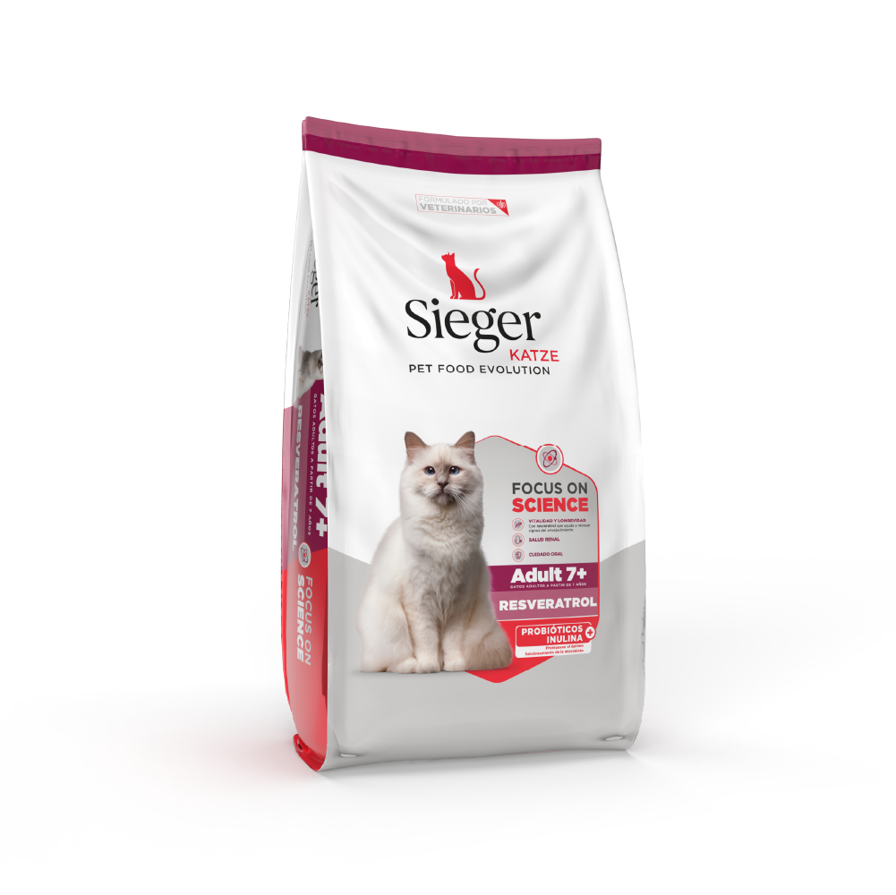 Sieger Gato Senior