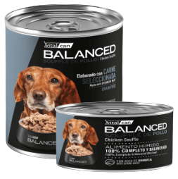 Lata Balanced Souffle de Pollo - Senior