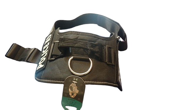 Pechera K9