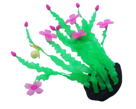 Alga Marina Decorativa