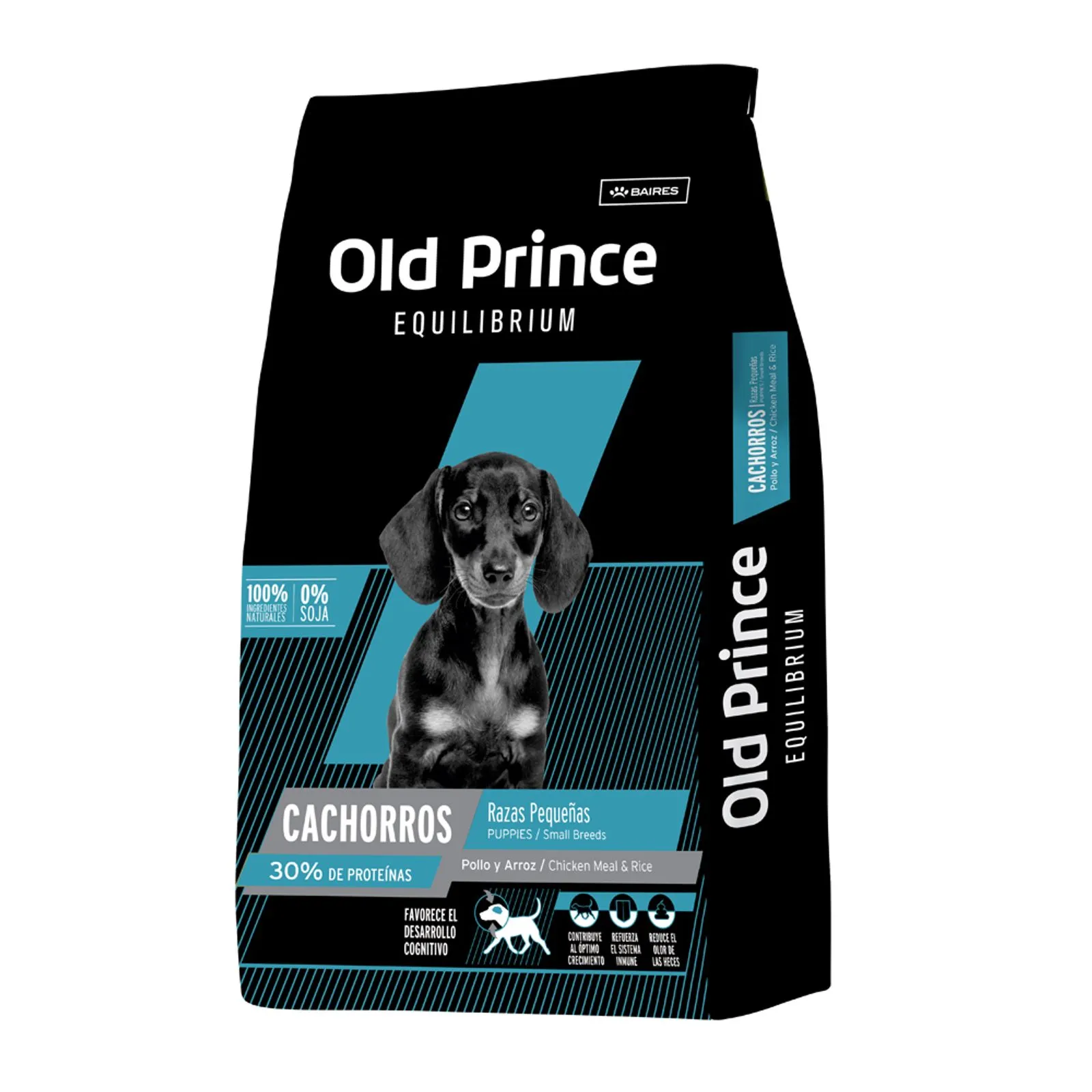Old Prince Equilibrium Cachorro Raza Pequeña