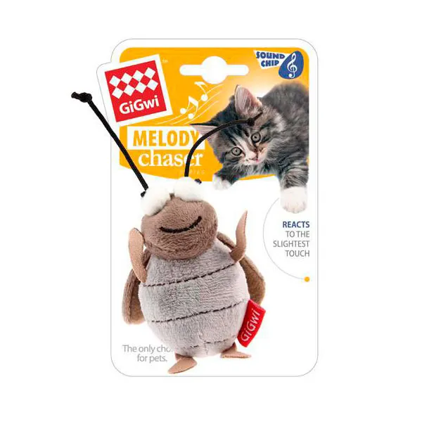 Grillo Gigwi Melody Chaser