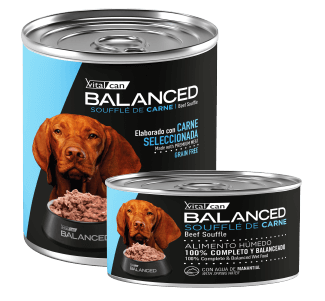 Lata Balanced Souffle de Carne - Adulto