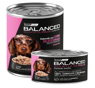 Lata Balanced Souffle de Pollo - Cachorro
