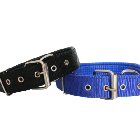 Collar Acolchado con Hebilla
