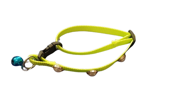 Collar con Perlas