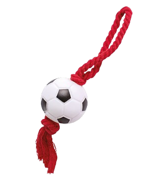 Soga Fútbol