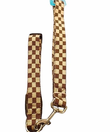 Correa con Collar