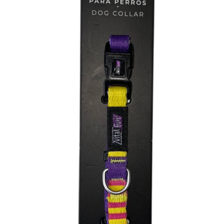 Collar Pop Art