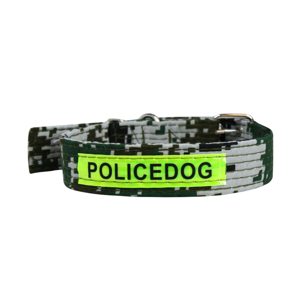 Collar Police Dog