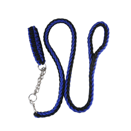 Collar y Correa Trenzados