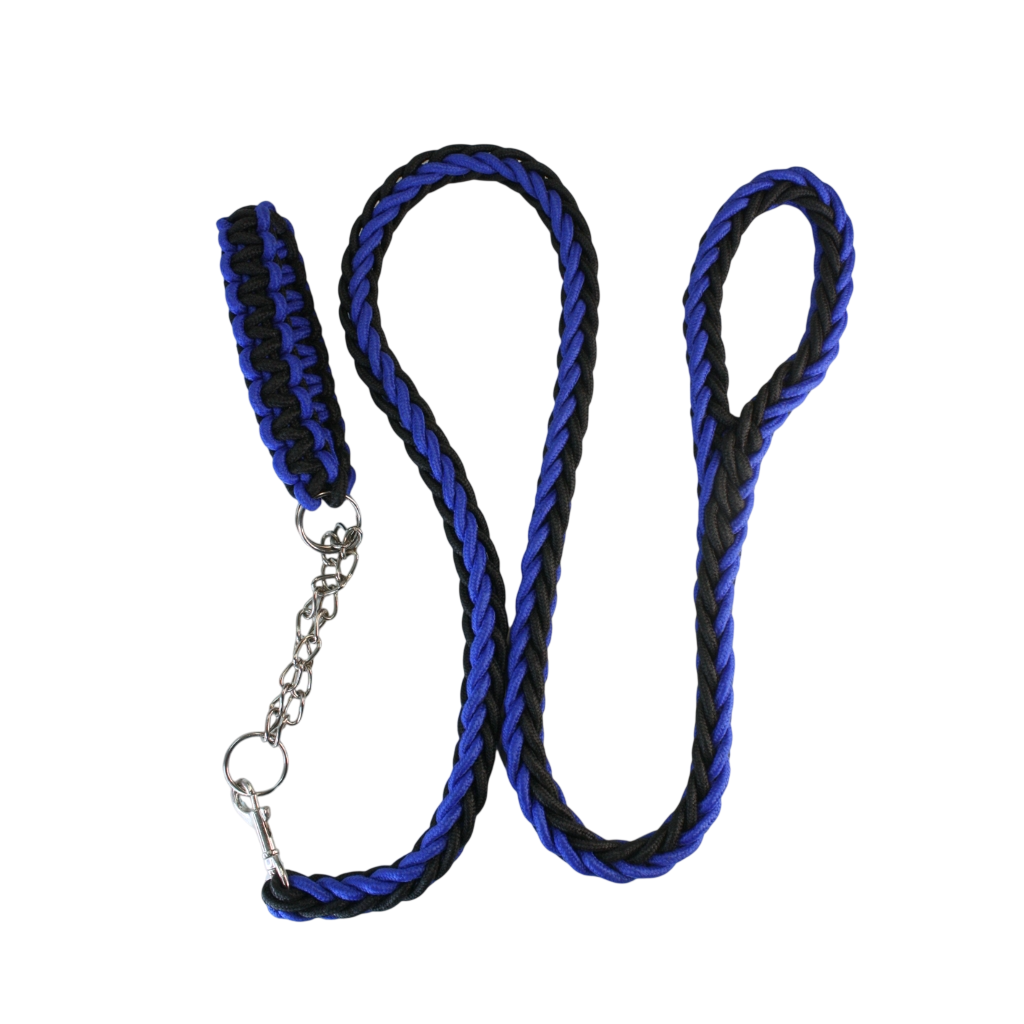 Collar y Correa Trenzados