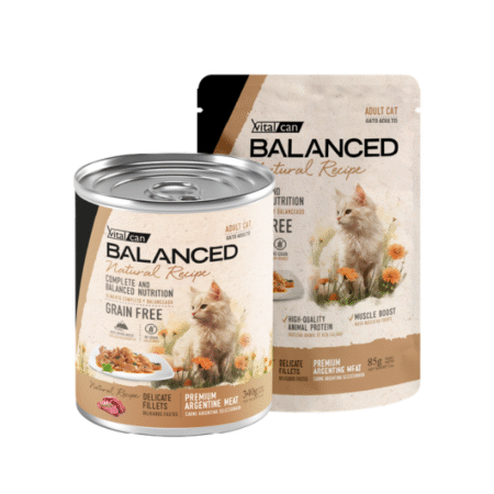 Lata Balanced Natural Recipe – Gato Adulto