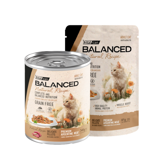 Lata Balanced Natural Recipe – Gato Adulto
