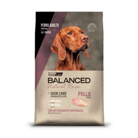 Balanced Perro Natural Recipe Pollo