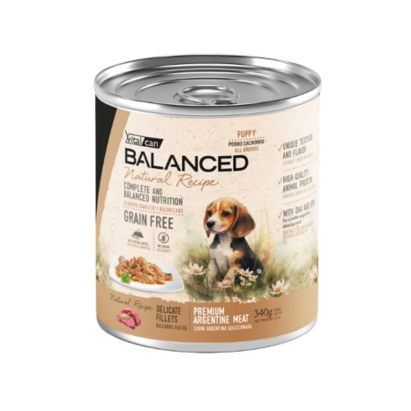 Lata Balanced Natural Recipe - Cachorro
