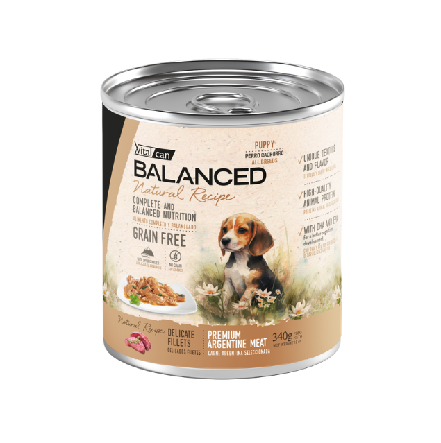 Lata Balanced Natural Recipe - Cachorro