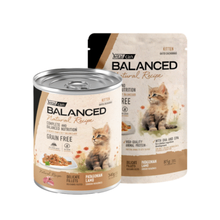 Lata Balanced Natural Recipe - Gato Cachorro
