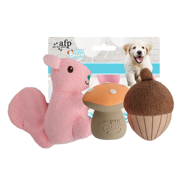 Set Ardillita Afp