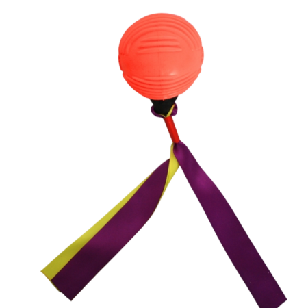 Pelota con Tela