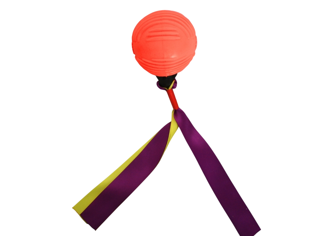 Pelota con Tela