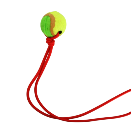 Pelota con Soga Larga
