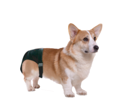 Protector Sanitario